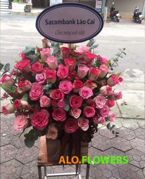 Đặt hoa online Tây Ninh