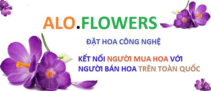 hoa tươi giá rẻ hcm alo.flowers