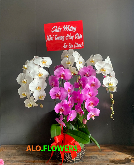 Shop hoa tươi huyện Củ Chi