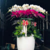 Shop hoa tươi An Nhơn Bình Định