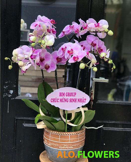 Shop hoa tươi Hà Trung Thanh Hóa Shop hoa tươi Hà Trung Thanh Hóa