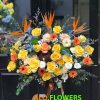 Đặt hoa online Tân Bình