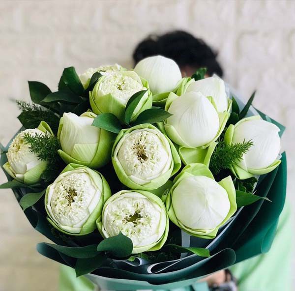 giá 1 bó hoa sen 2019 alo.flowers