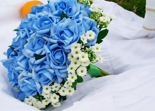 tặng hoa xanh alo.flowers