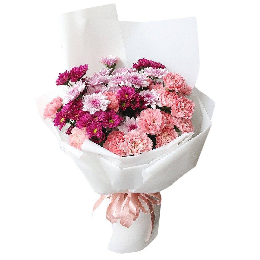 giá 1 bó hoa cẩm chướng alo.flowers
