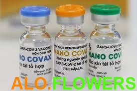 vaccine nanocovax