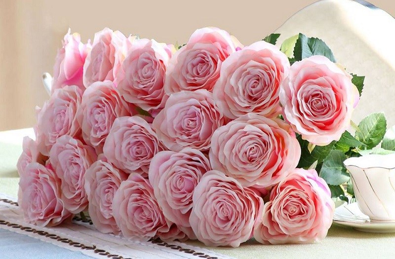 Các loại hoa hồng tươi - Alo Flowers