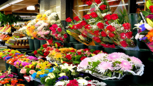 shop bán hoa khô