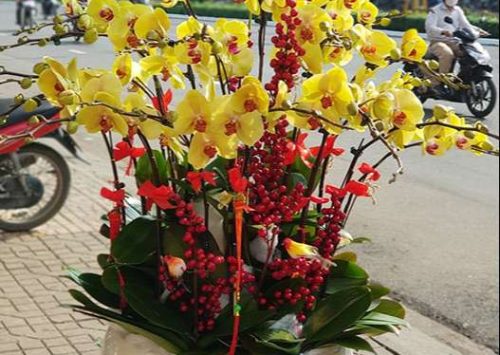 lời chúc sinh nhật cháu trai 8 tuổi