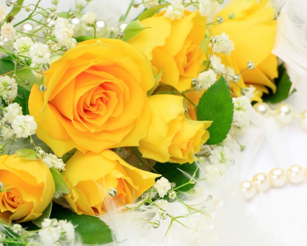 Bó hoa hồng vàng đẹp - Alo Flowers