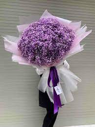 Các loài hoa violet