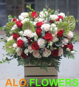 cửa hàng hoa hồ thị kỷ