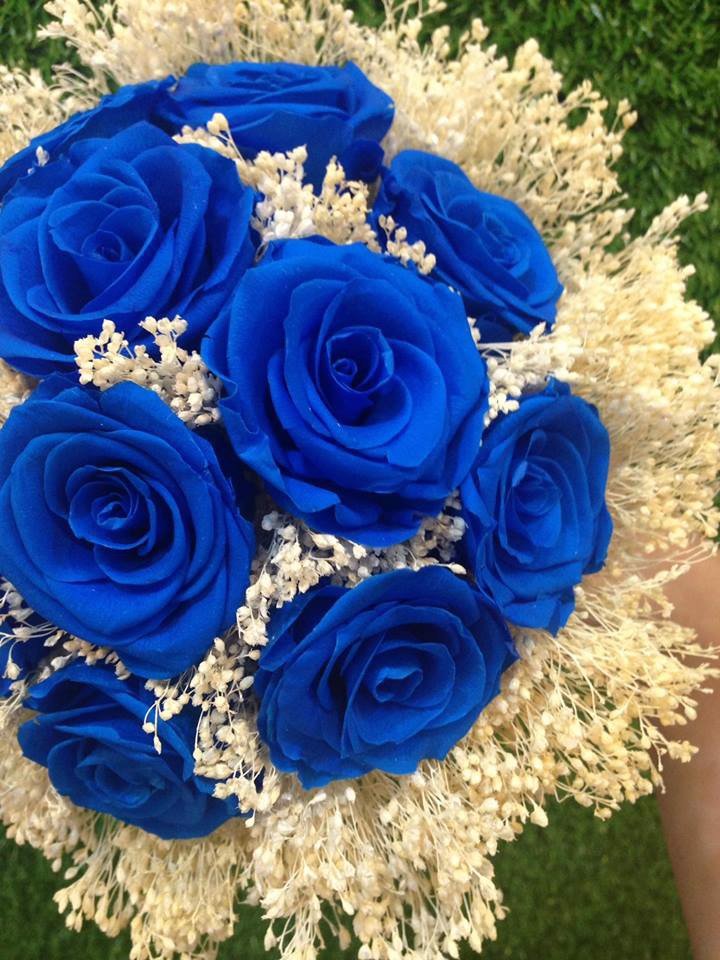 Hoa hồng xanh tiếng anh là gì - Alo Flowers