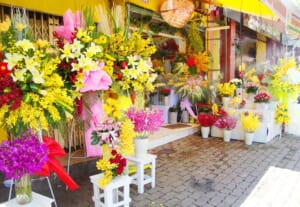 cửa hàng hoa đà lạt