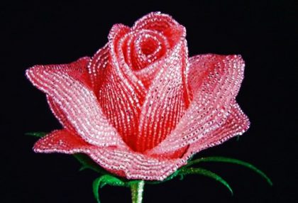 Hoa hồng kết cườm