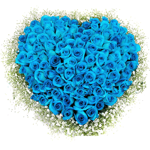 Hoa hồng xanh là biểu tượng của sự tươi mới và hy vọng. Những nụ hoa xanh tươi này sẽ làm cho ngôi nhà của bạn thêm sinh động và tươi mới.