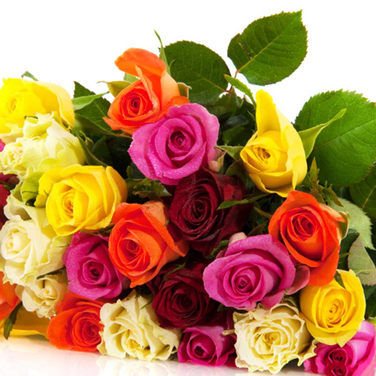 Tải ảnh bó hoa hồng đẹp - Alo Flowers