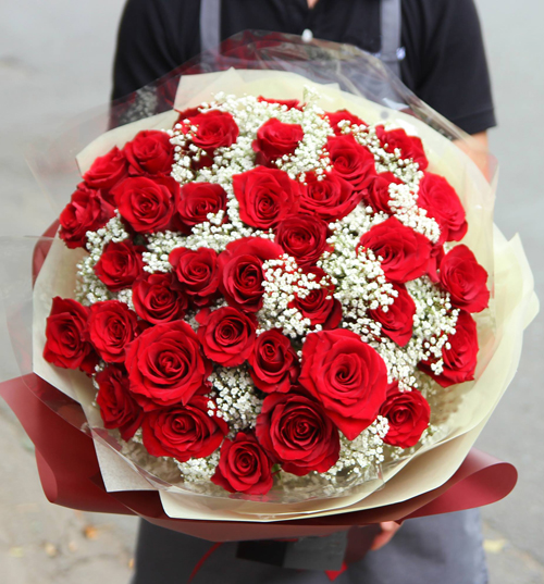 Bó hoa hồng ecuador đẹp rẻ 