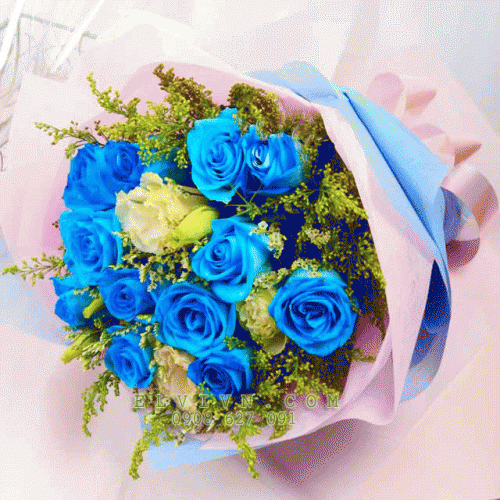 Hoa hồng màu xanh coban