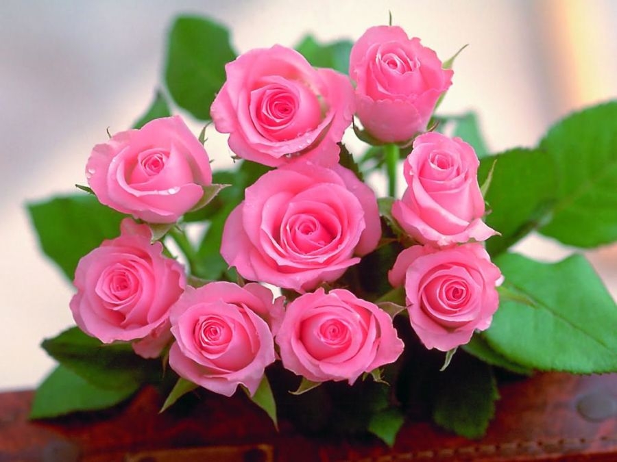 Ý nghĩa bó hoa hồng 9 bông