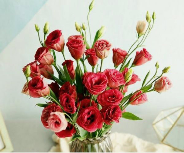Hoa Cát Tường đỏ là sự lựa chọn hoàn hảo để thể hiện tình yêu, đam mê và nhiệt huyết của bạn. Những bông hoa đỏ tươi sẽ làm nổi bật bất kỳ không gian nào và tạo nên một cảm giác lãng mạn và đặc biệt. Hãy để chúng tôi giới thiệu tới bạn những hình ảnh đẹp của loài hoa này trên trang web Hoa Đẹp