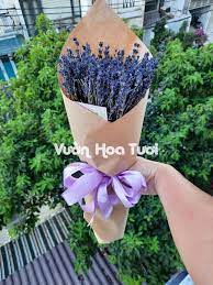 Shop Bán Hoa Lavender