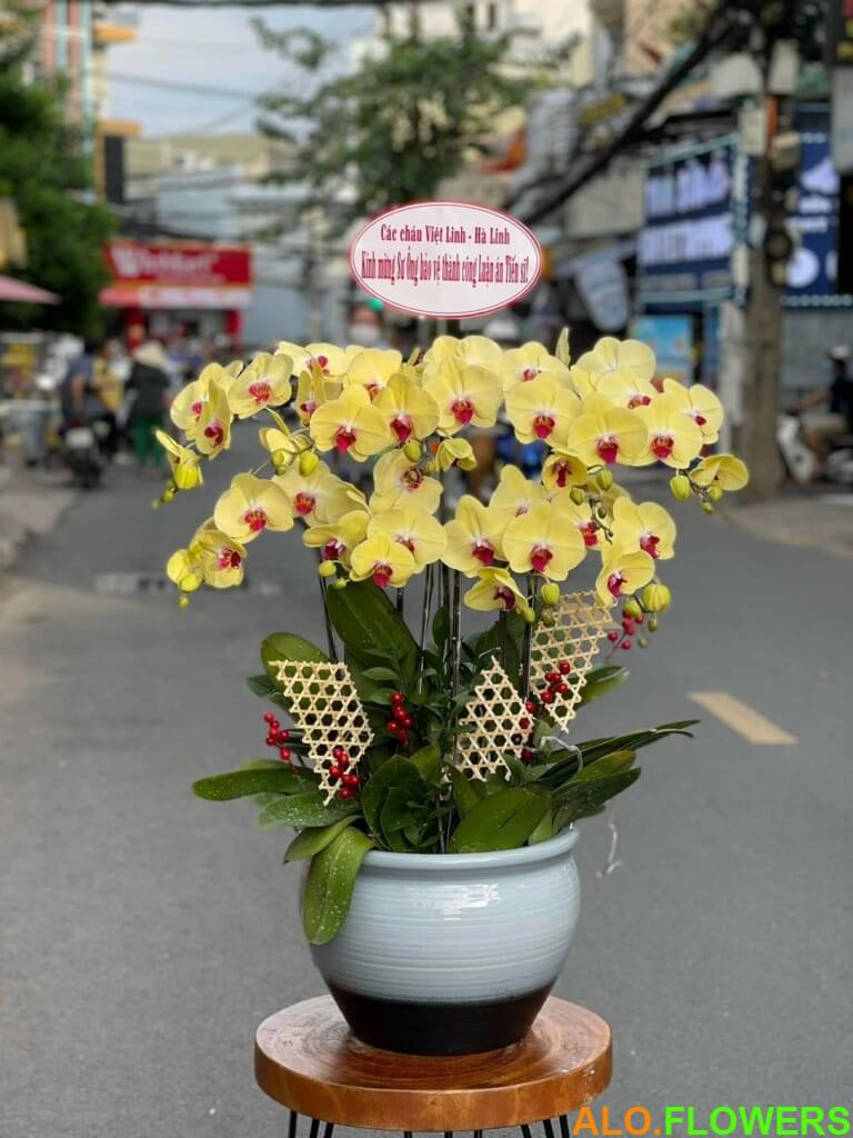 Shop Hoa Tươi TT Hòa Thuận