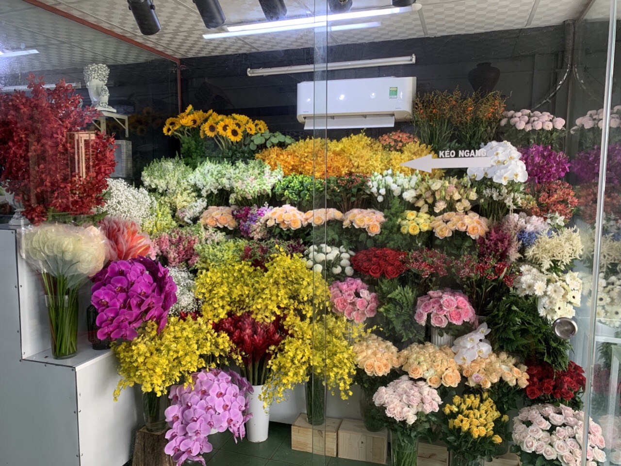 SHOP HOA TƯƠI CHỢ BẾN THÀNH QUẬN 1 TPHCM Nơi tìm kiếm những bông hoa đẹp nhất